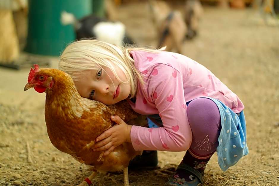 Harzer Feriengarten 4 Sterne