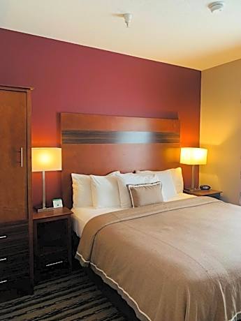One-Bedroom Suite