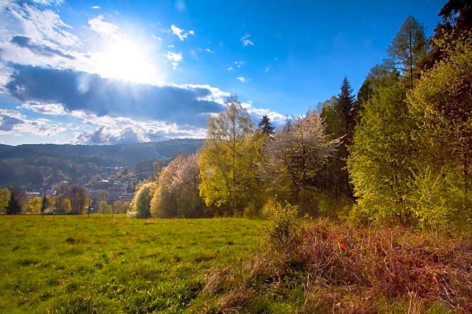 Piastun SPA&Wellness Krynica-Zdrój