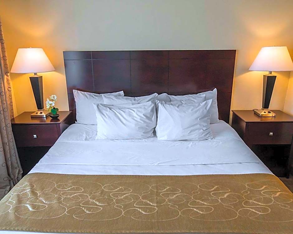 Comfort Suites University Area