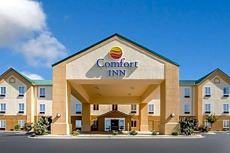 Comfort Inn Lexington South