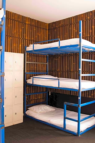 Bed in 6-Bed Female Dormitory Room