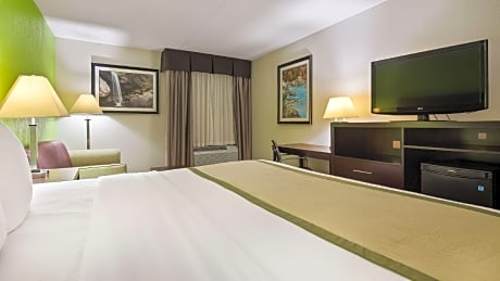 1 King Bed Smoking