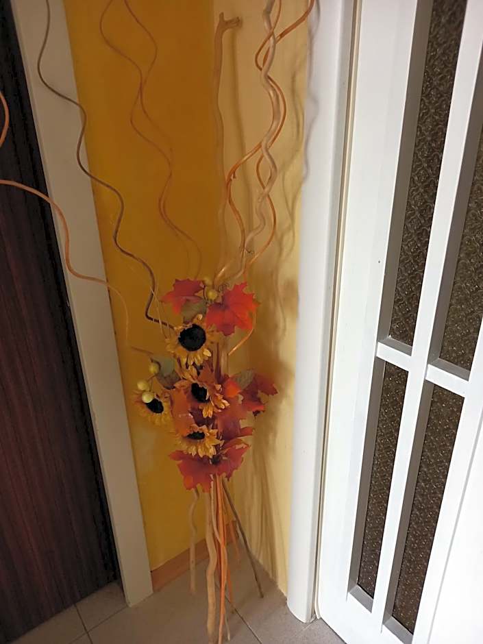 Alloggi Adamo Venice