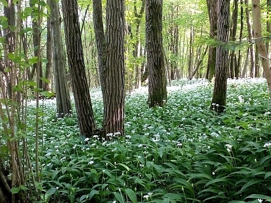 B&B La casa di Loretta