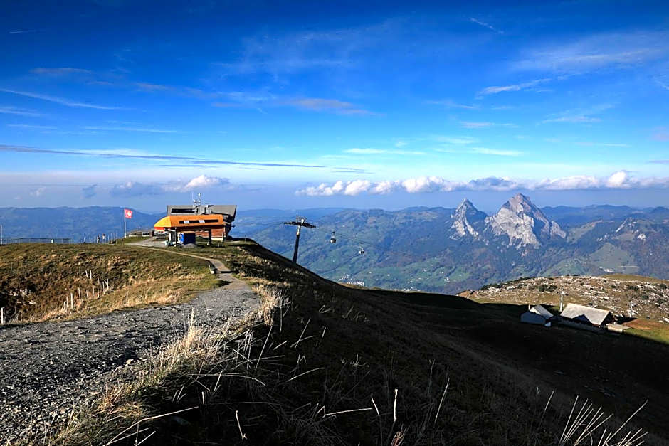Fronalpstock Hotel & Restaurant