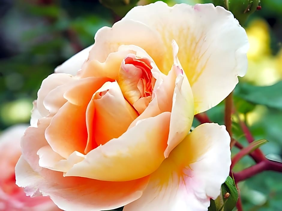 Jacobs Creek Retreat at Moorooroo Park