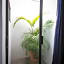 Hotel Arboledas Industrial