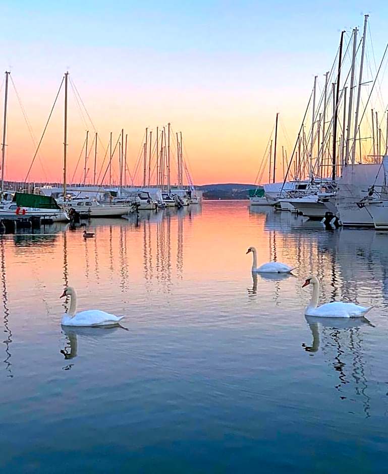 First Hotel Millennium