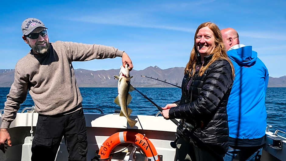 Harbour Inn - Guesthouse