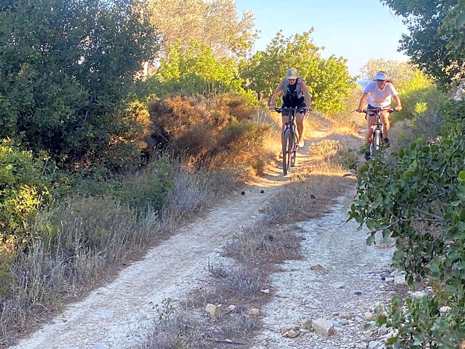 Pantheon Apartments & Studios