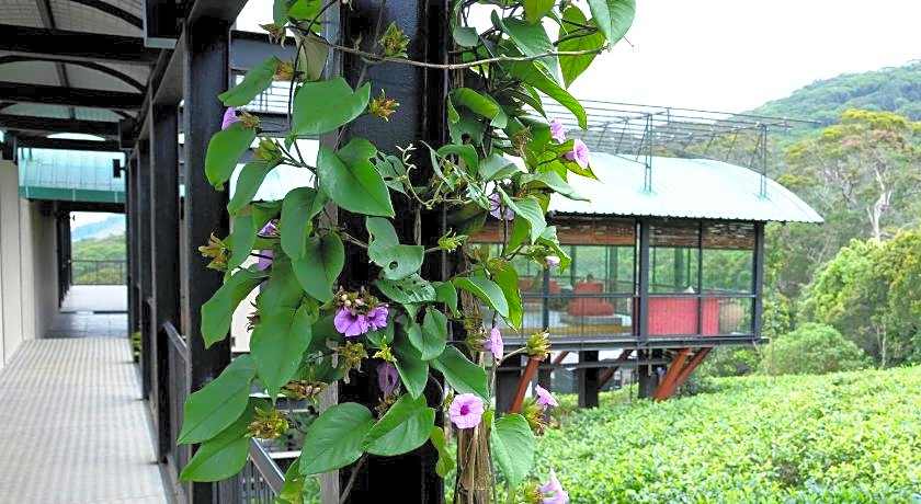 The Rainforest Ecolodge