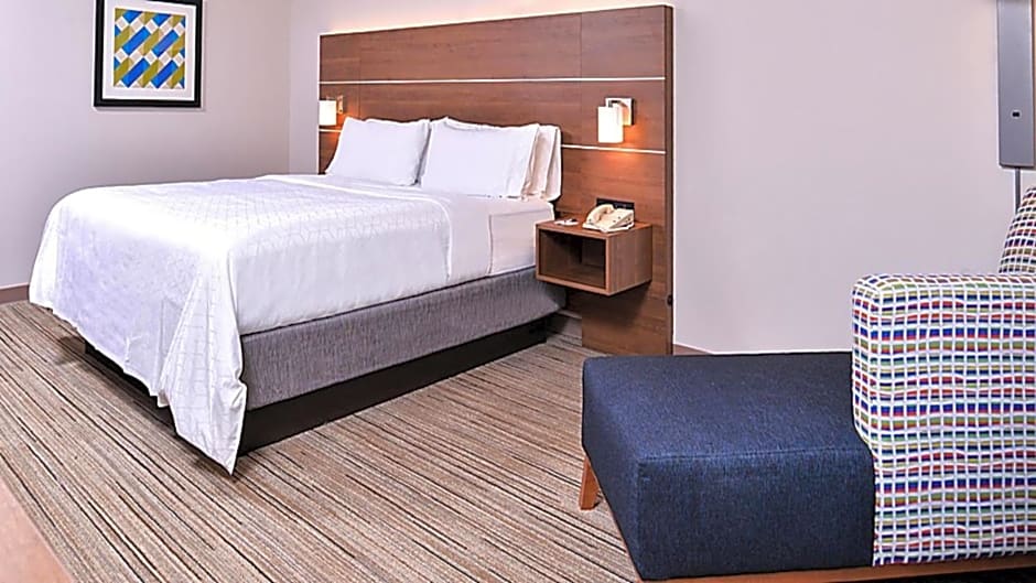 Holiday Inn Express Hotel & Suites Mount Pleasant