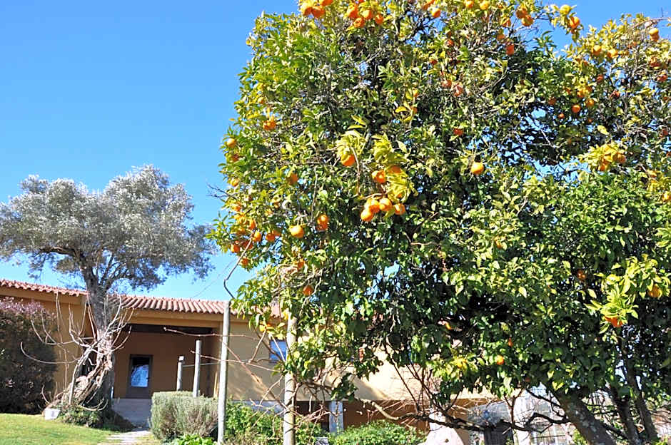 Hotel Rural de Charme Maria da Fonte