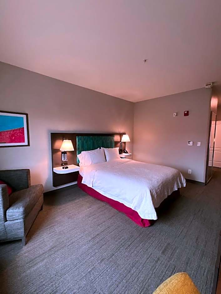 Hampton Inn By Hilton Montrose, Co