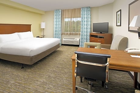 1 King Bed Studio Suite