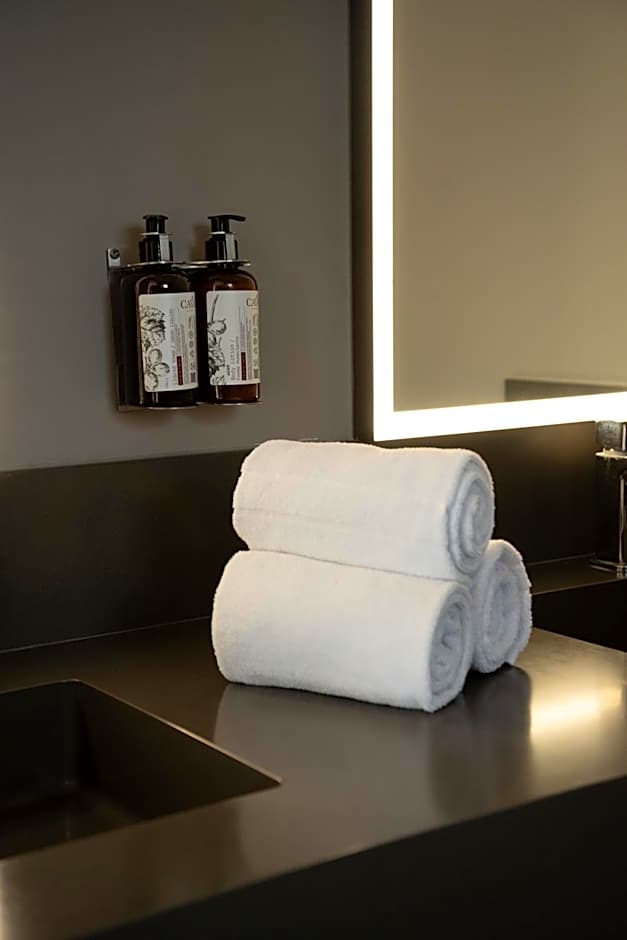 Ola Santiago Providencia, Tapestry Collection by Hilton