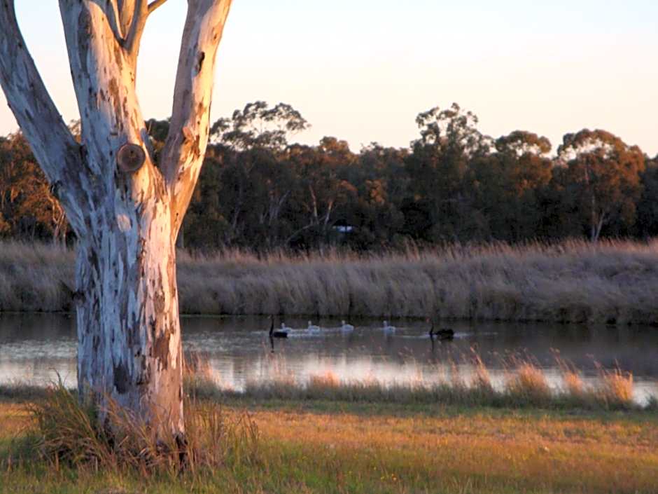 Adina Vineyard Accommodation