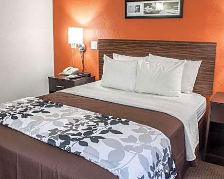 Queen Room - Accessible/Nonsmoking