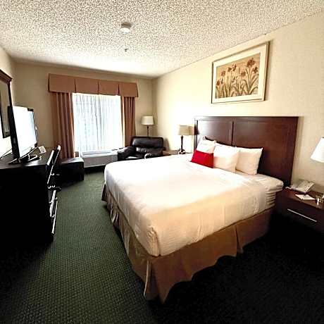Deluxe King Suite - Non-Smoking