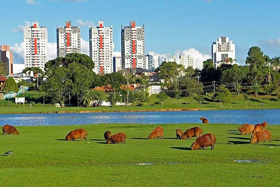 Ed. Vitoria | Bairro mais requisitado de Curitiba | Gonzaga Stays