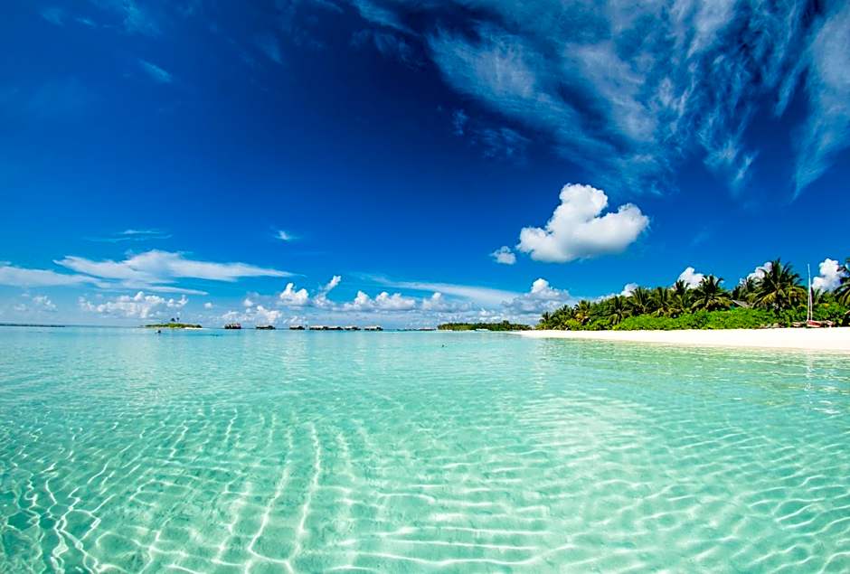 Absolute Beachfront Villas