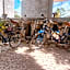 Elmar Hostel
