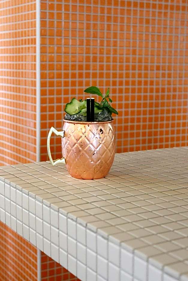 Cosmiques Hotel - Centre Chamonix