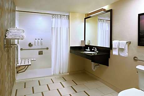 Studio Suite, 1 King Bed with Sofa bed (1 King Bed and 1 Double Sofa Bed)