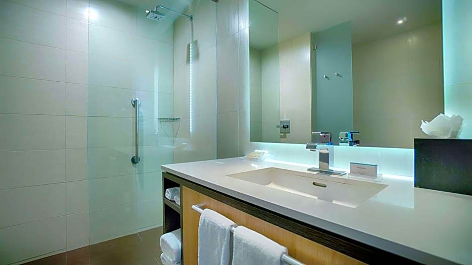 Hilton Garden Inn San Jose La Sabana