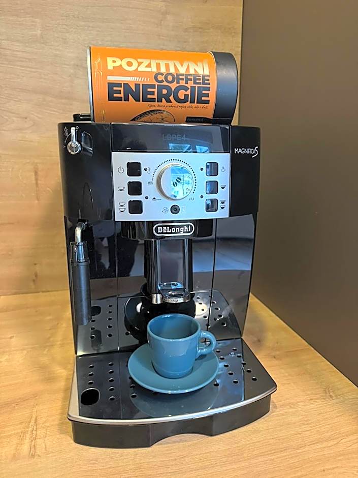 Wellness & Spa Apartments Lipno - Frymburk