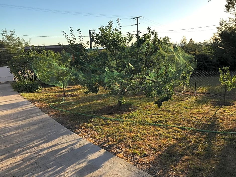 CHAMBRE HOTES CARPE DIEM