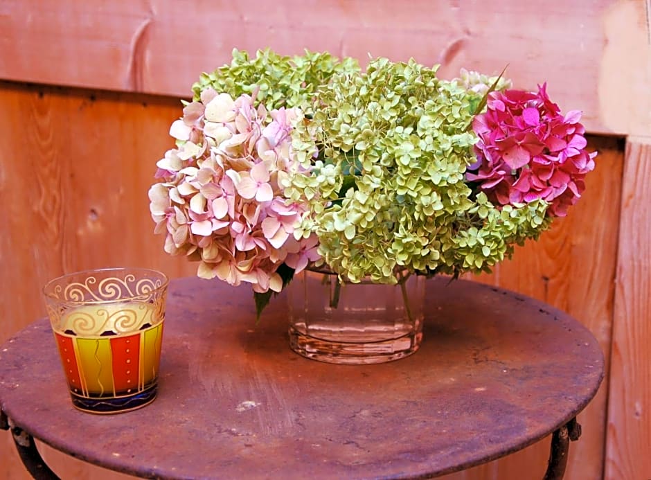 Ombre Rose
