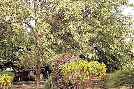 Yuna Village Garden Resort