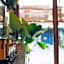 Yu Cafe Hostel