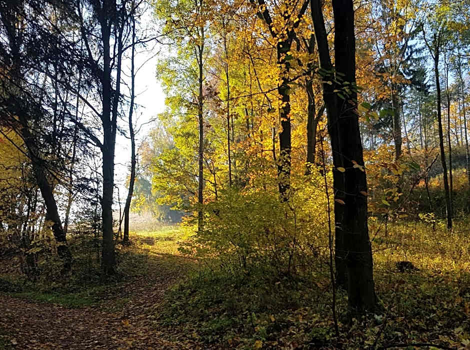 Pokoje Gościnne Art- Dworek