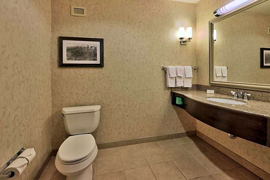 Hilton Garden Inn Las Cruces