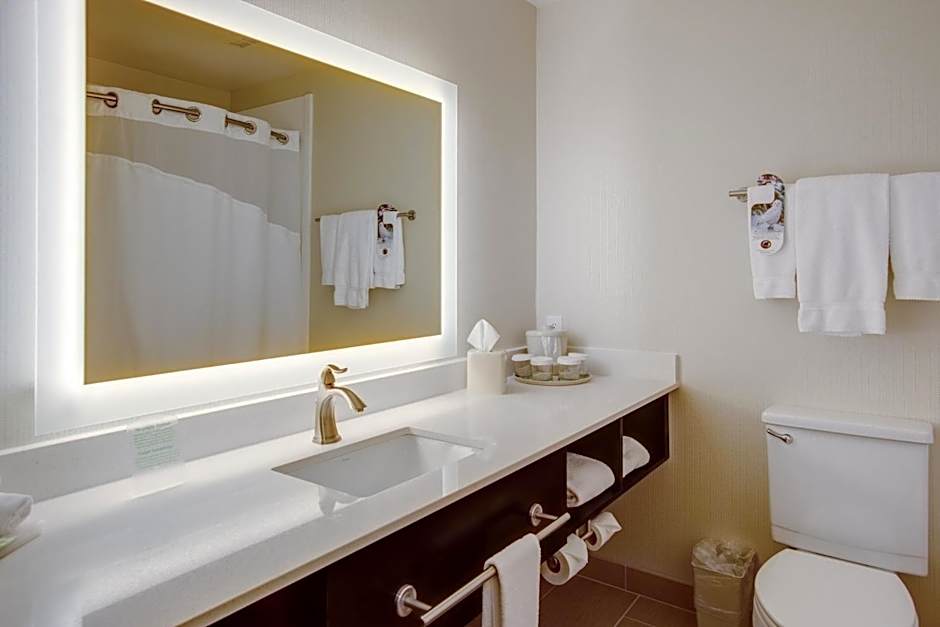 Holiday Inn Express Bellingham By IHG