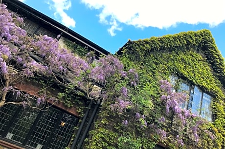 Cisswood House Hotel