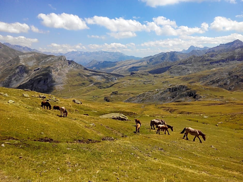 El Privilegio de Tena