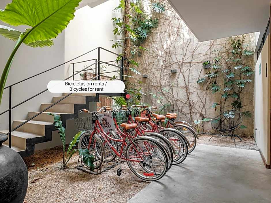 Loft Luxury Selva Maya