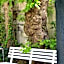 Hotel Casa Mia