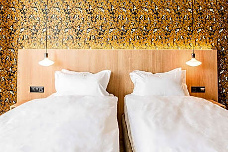 Deluxe Twin Rooms