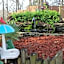 Shady Acre Inn and Suites