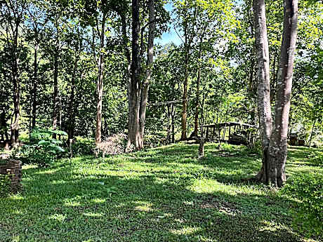 Golden Cloud Farm by Suan Lerluck