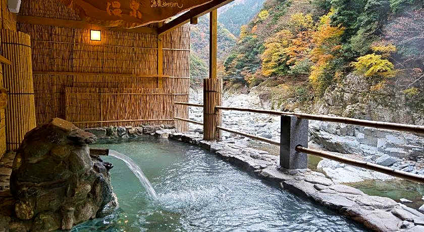 Wanoyado Hotel Iya Onsen Natural Hot Spring