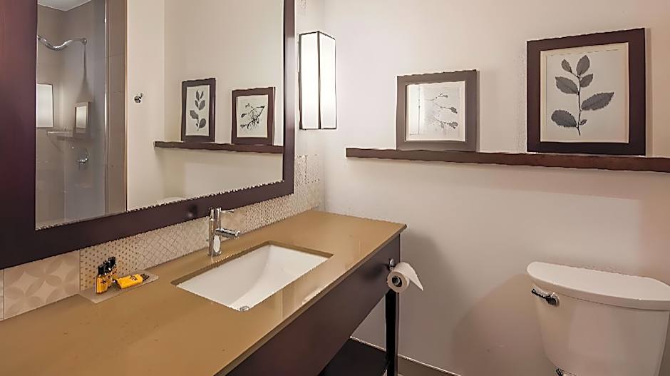 Country Inn & Suites by Radisson Houston Westchase-Westheimer