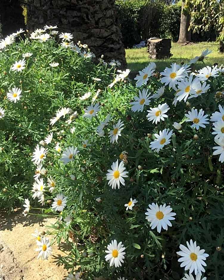 B&B Casa Maria Vittoria