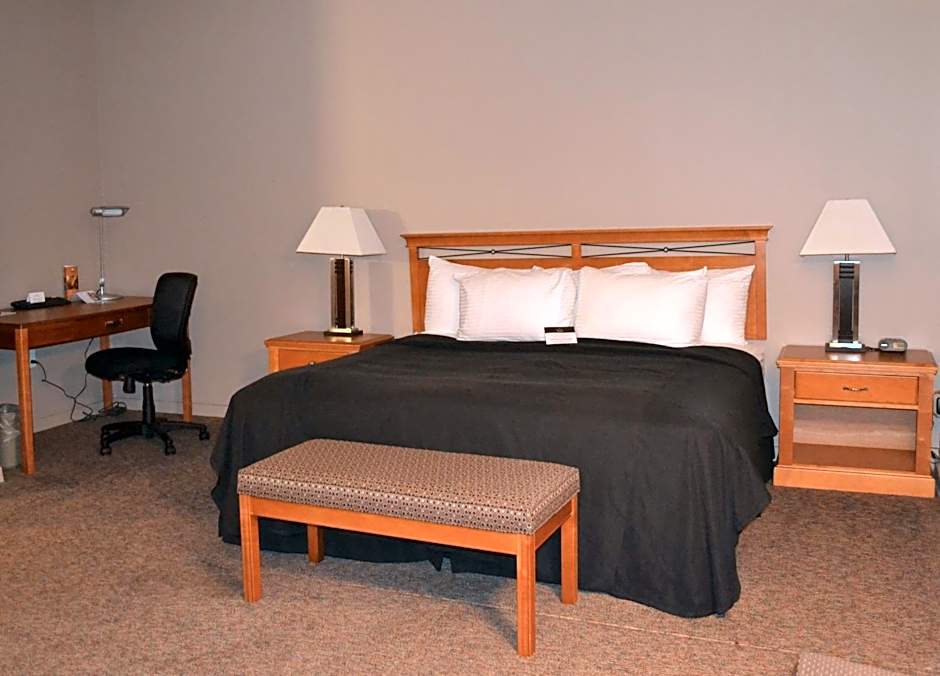 Royal Hotel West Edmonton, Trademark Collection by Wyndham