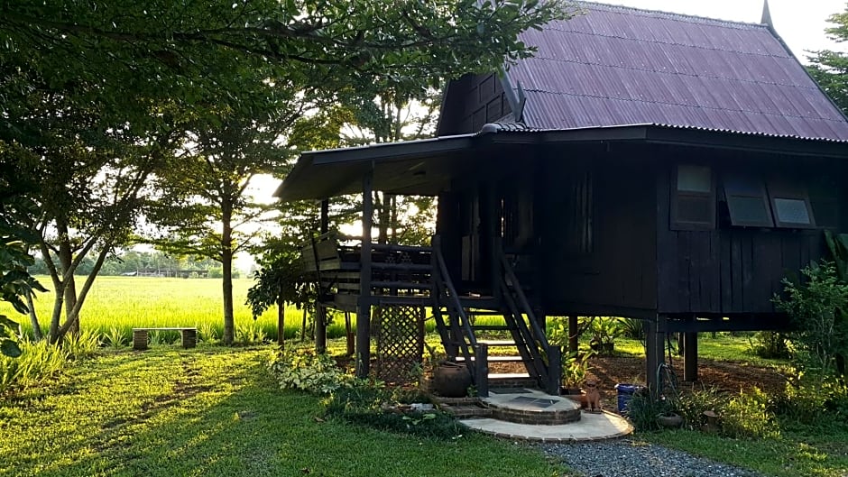 Tung Tong Homestay & Camping
